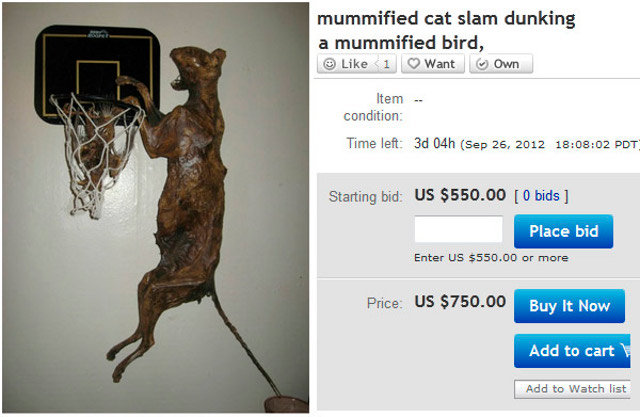 Gato momificado, gato momificado haciendo un mate, mummified cat slam dunking a mummified bird, ebay