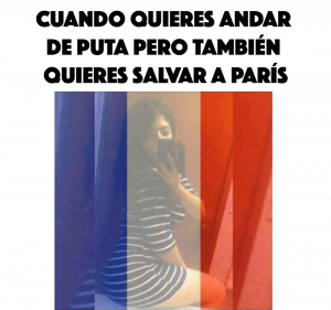bandera francia perfil facebook